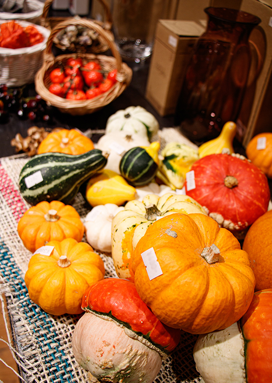 ハロウィン用の小さなカラフル南瓜などご用意しています 京都八百一本館