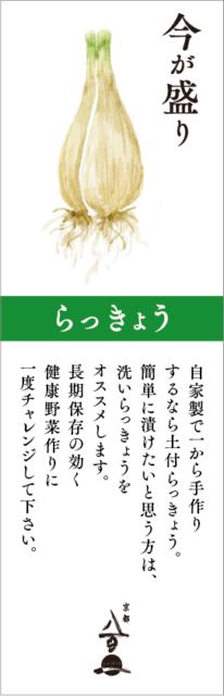 京都八百一