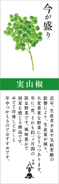 京都八百一