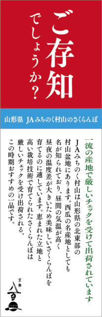 京都八百一