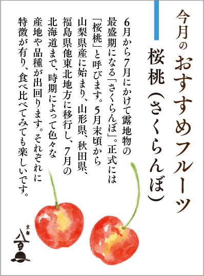 京都八百一