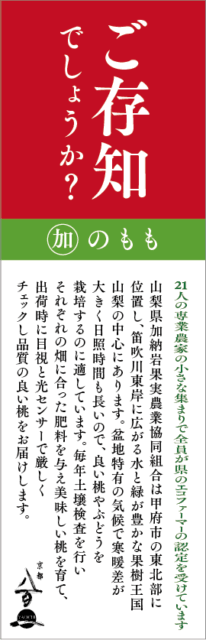京都八百一