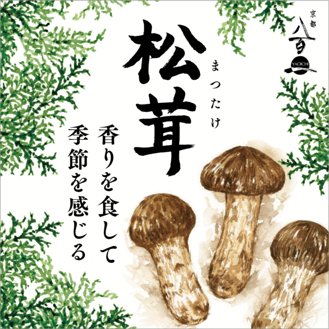 京都八百一