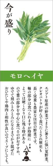 京都八百一