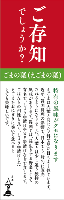 京都八百一