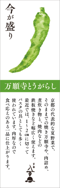 京都八百一