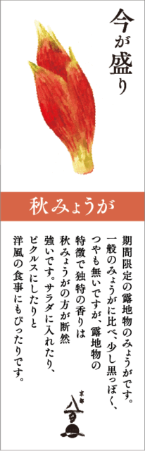 京都八百一