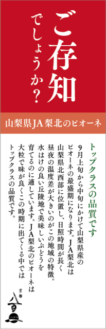 京都八百一