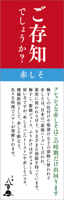 京都八百一