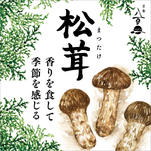 京都八百一