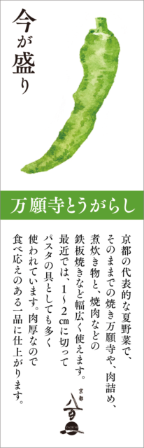 京都八百一