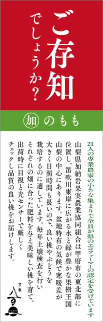 京都八百一