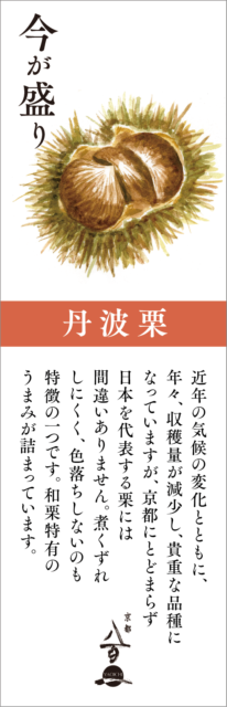 京都八百一