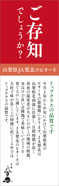 京都八百一